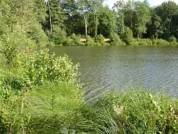 Guide épargne