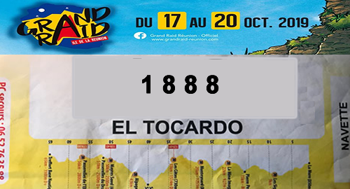 Dossard DDF 2019 (trafiqué, pas le vrai :) seul le n° de dossard est correct !) 