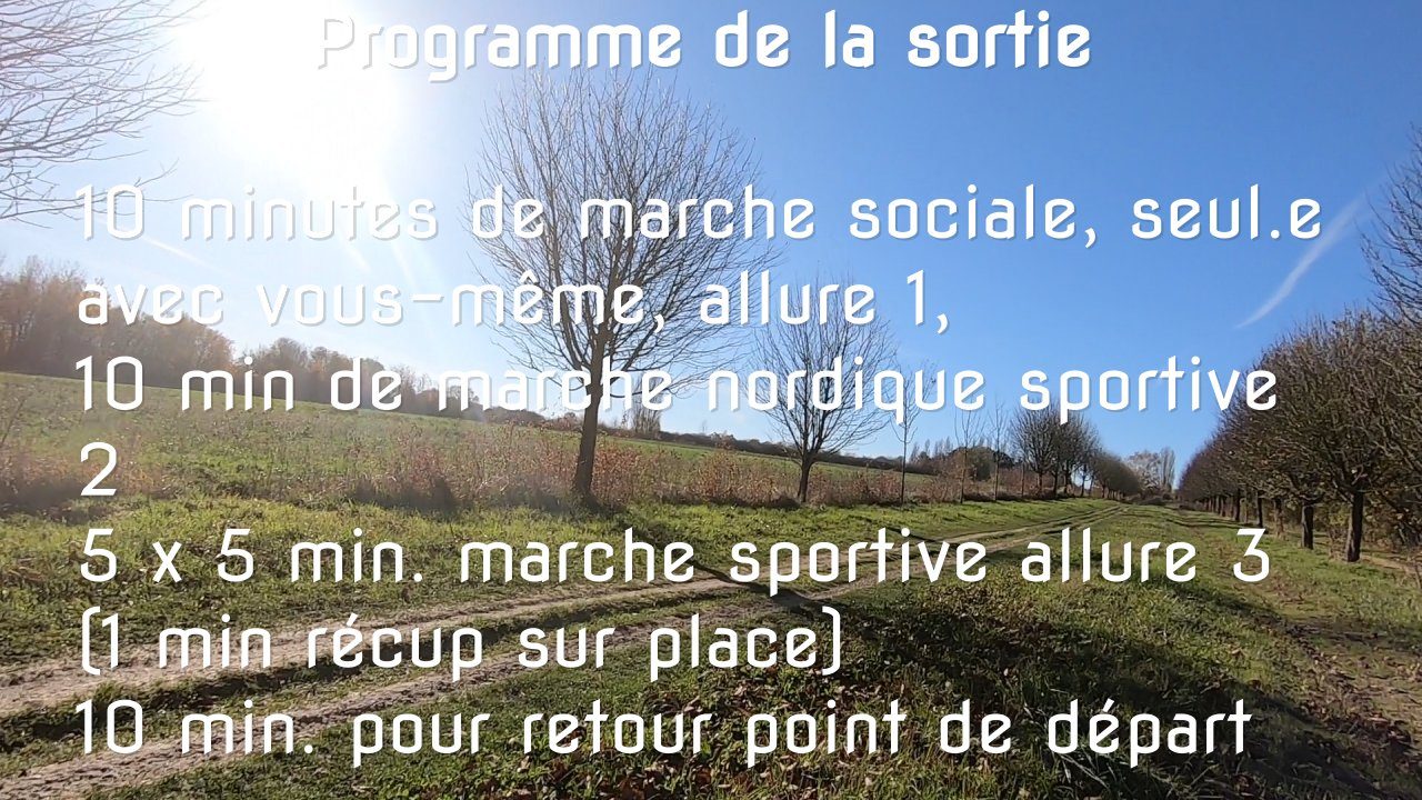 Entraînement Marche Nordique - 1 heure - Marche Sportive