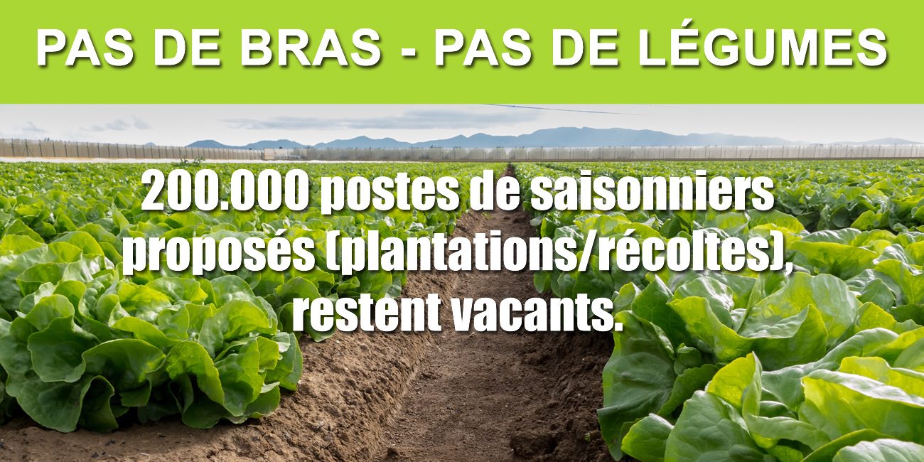 26 mars - J9 - 74kg - Tous à la campagne !