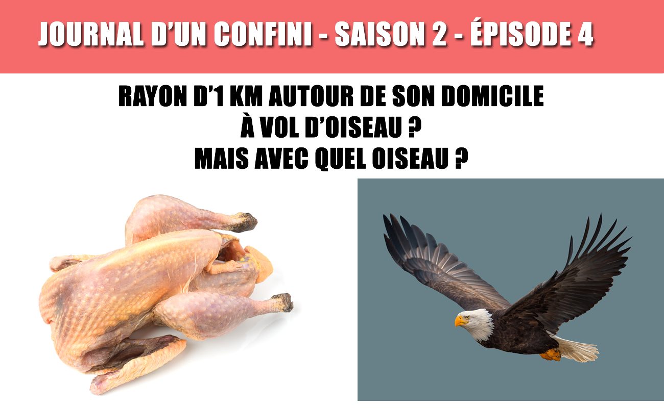 Activité sportive : limite de 1km à vol d'oiseau, ok, mais avec quel oiseau ?