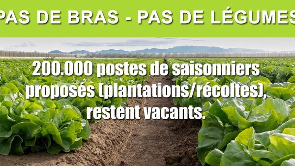 26 mars - J9 - 74kg - Tous à la campagne !