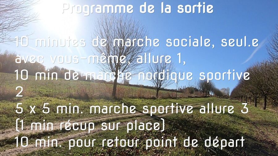 Entraînement Marche Nordique - 1 heure - Marche Sportive